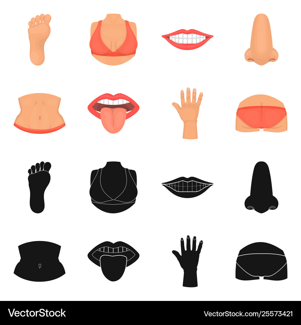 Isolated object body and part icon set Isolated object body and part icon set vector image