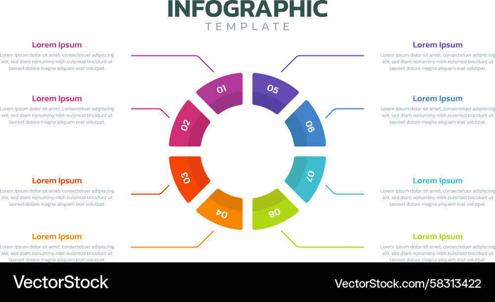 Circular Pie Chart with Step Options Vector Image