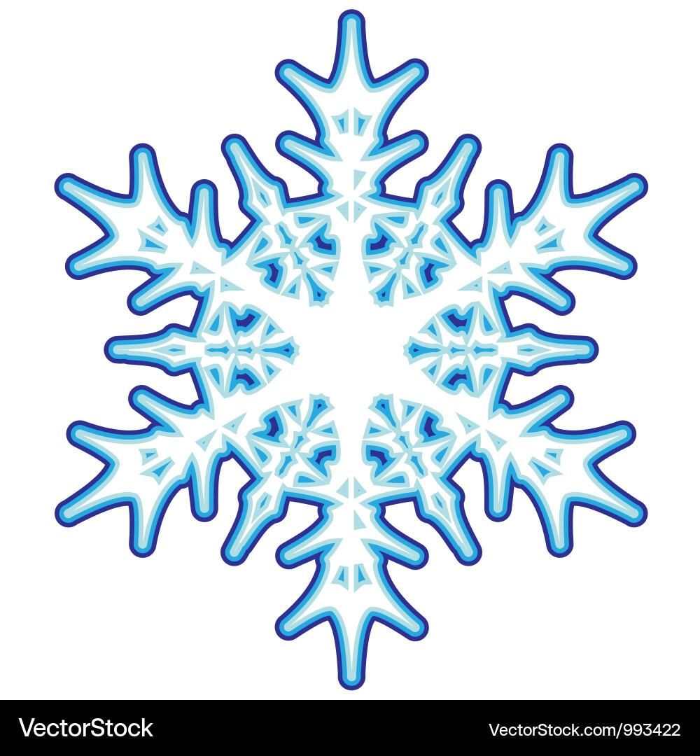 Decorative abstract snowflake Vector Image