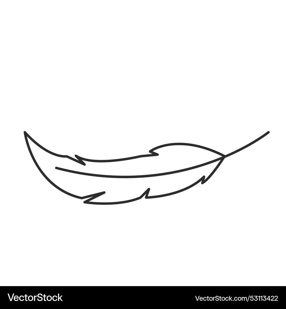Feather line icon design element Feather line icon design element vector image