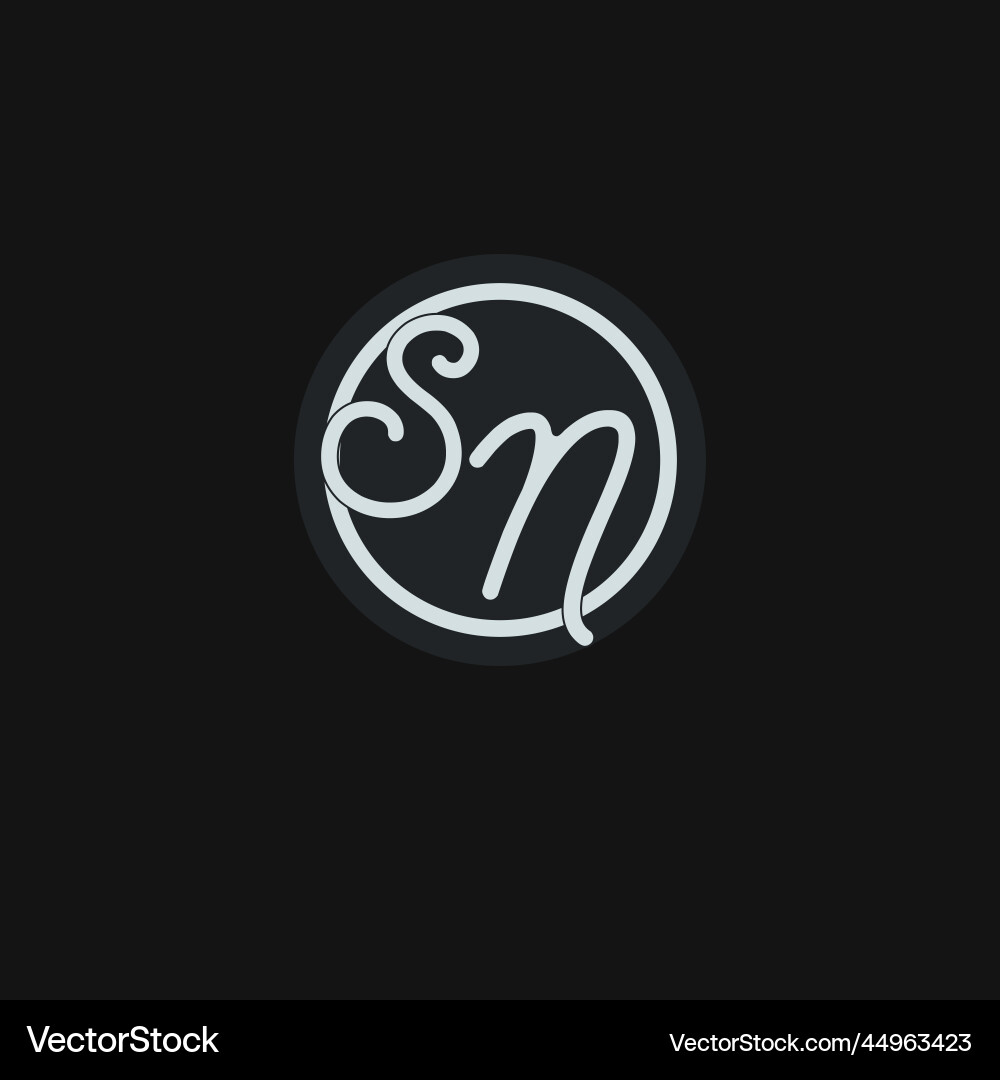 Initials sn logo monogram with simple circle line Vector Image