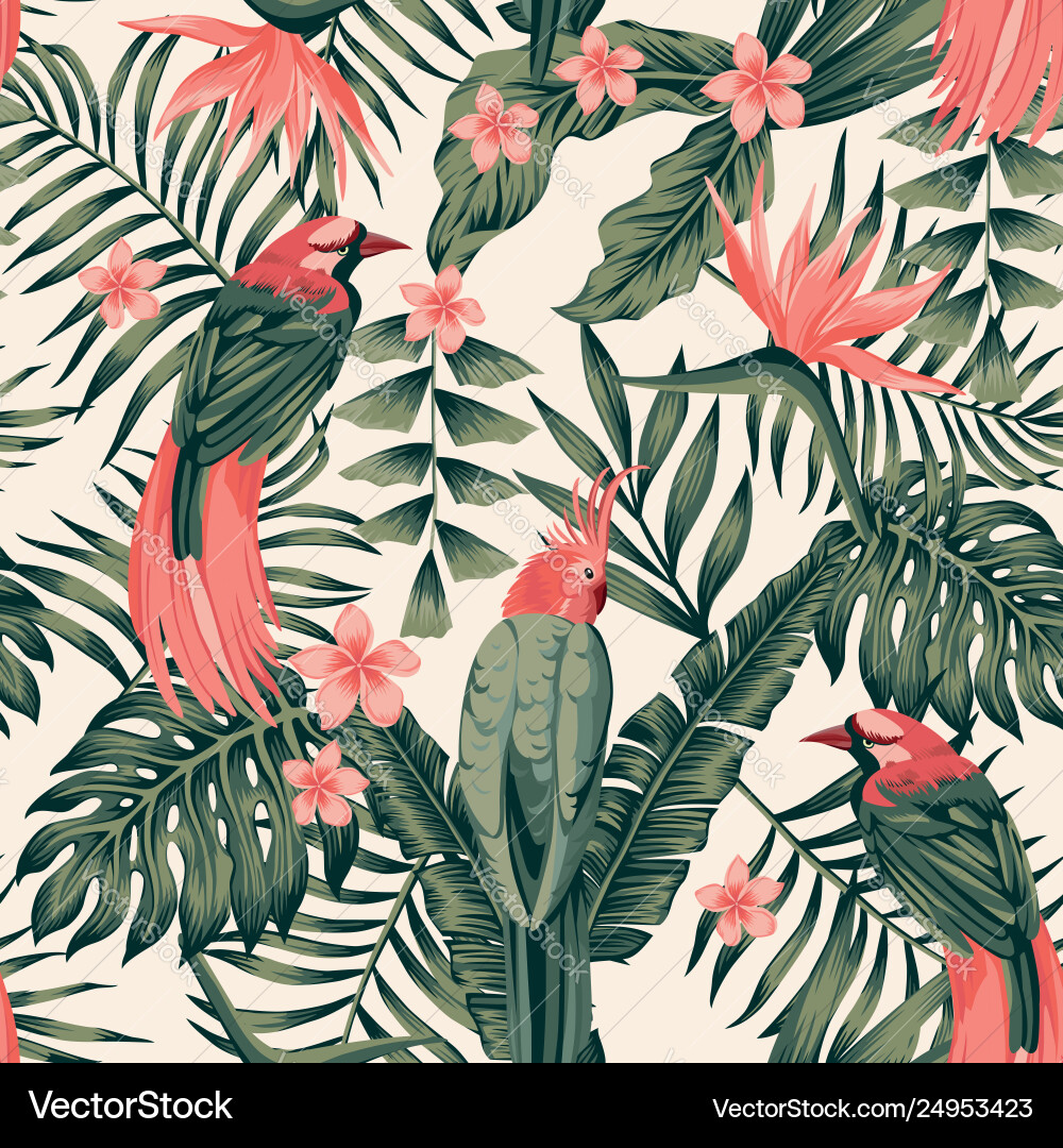 Tropical Birds and Flowers Vector Image
