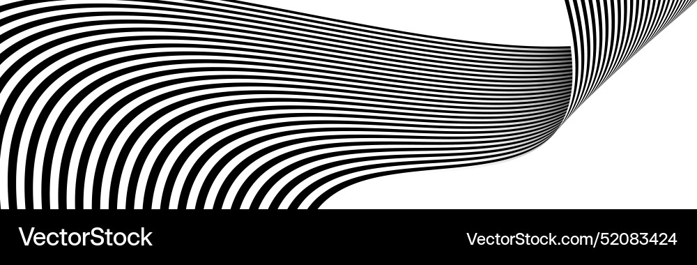 Black and white wavy stripes banner Black and white wavy stripes banner Vector Image