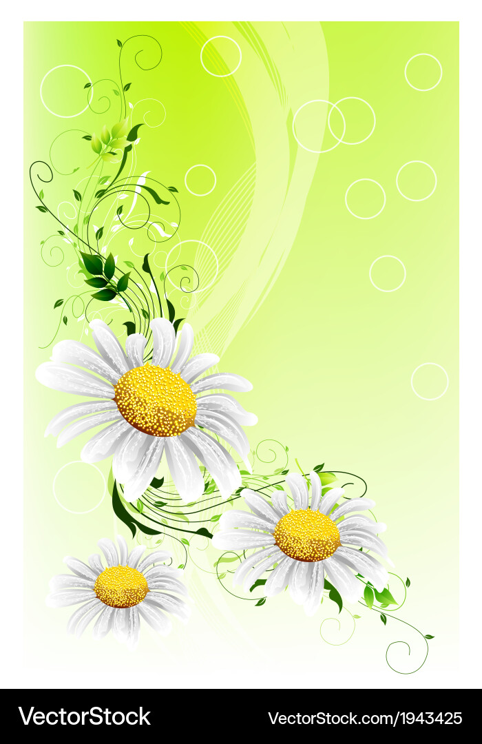 Spring background vector image
