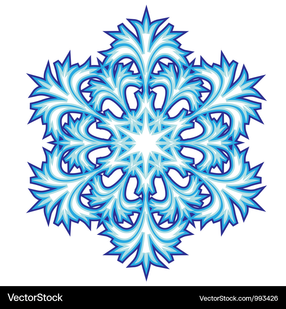 Decorative abstract snowflake Vector Image