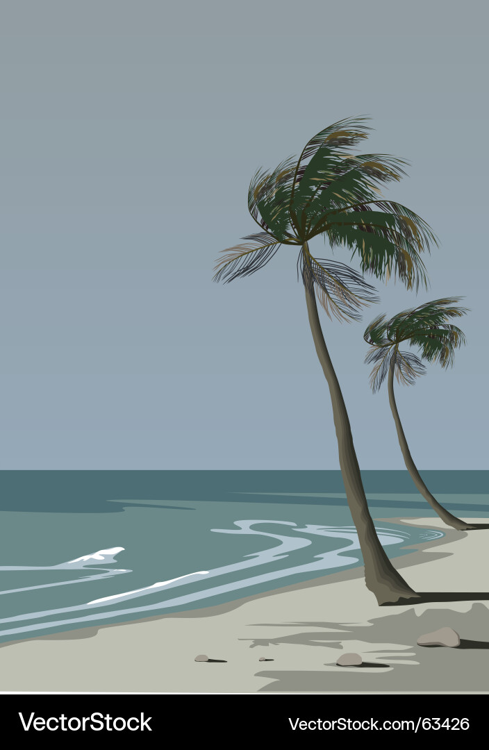 Palm tree Royalty Free Vector Image - VectorStock