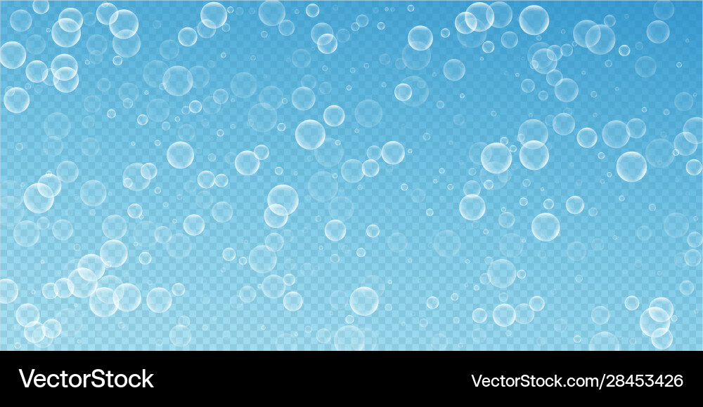 Random soap bubbles abstract background blowing b Vector Image