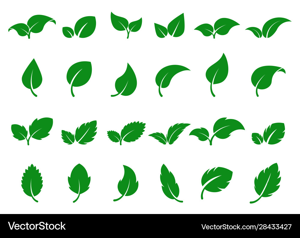 Grüne Blätter Logo Blatt Symbol gesetzt Kräuter eco Grüne Blätter Logo Blatt Symbol gesetzt Kräuter eco vektorbild