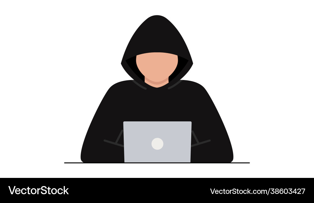 Hacker attack fraud with user data on social Hacker attack fraud with user data on social vector image