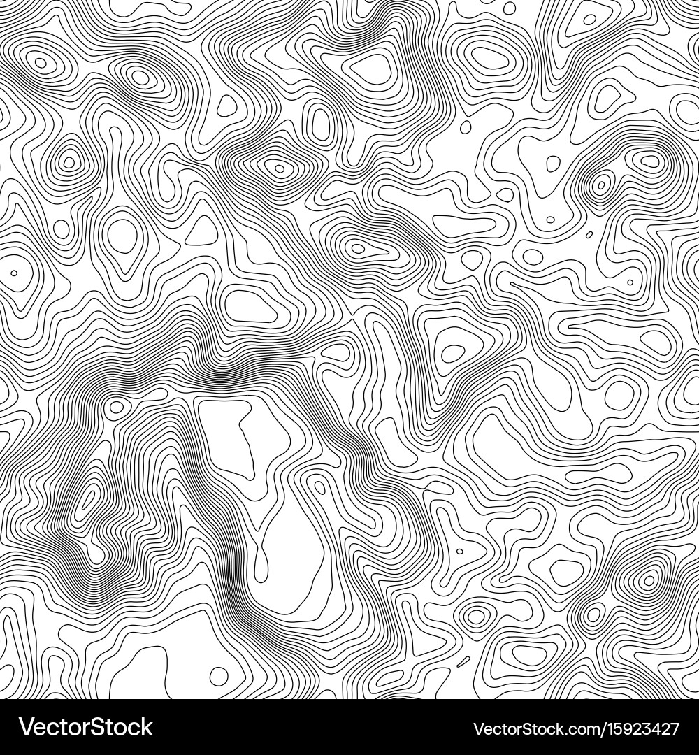 Seamless pattern topographic map background Vector Image