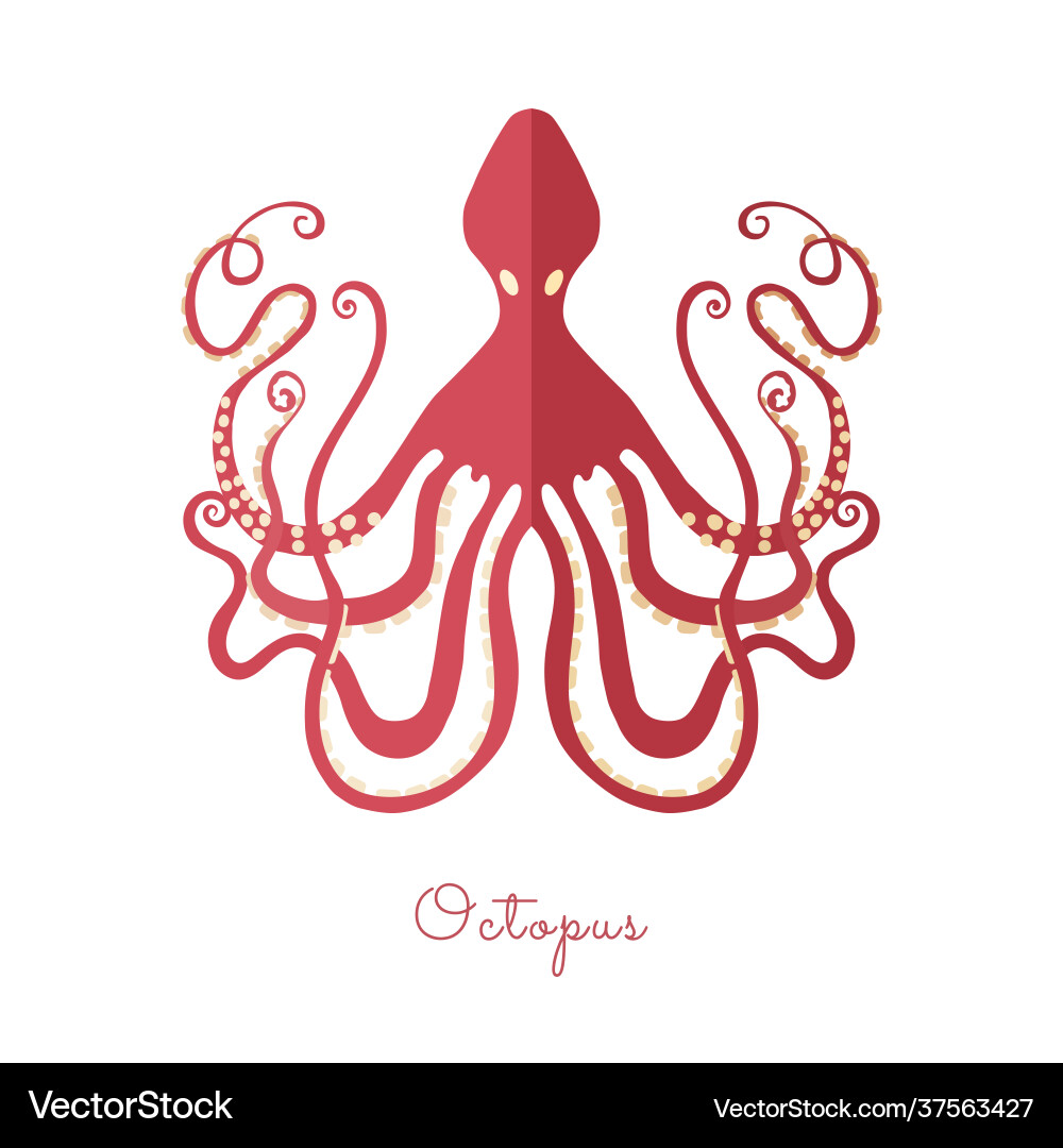Single Oktopus im flachen Stil isoliert auf weiß Single Oktopus im flachen Stil isoliert auf weiß vektorbild