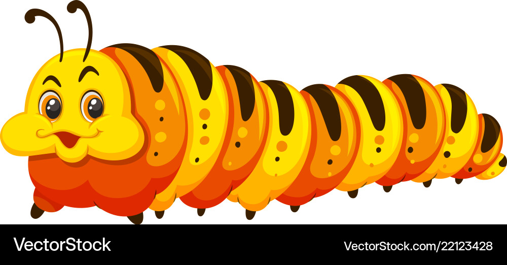A caterpillar on white background Vector Image
