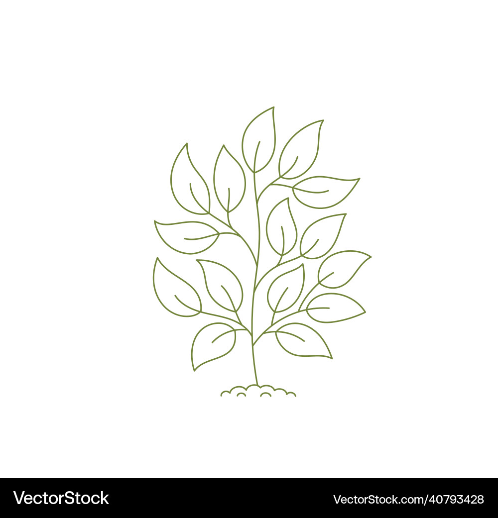 Outline small tree open paths editable stroke Vector Image