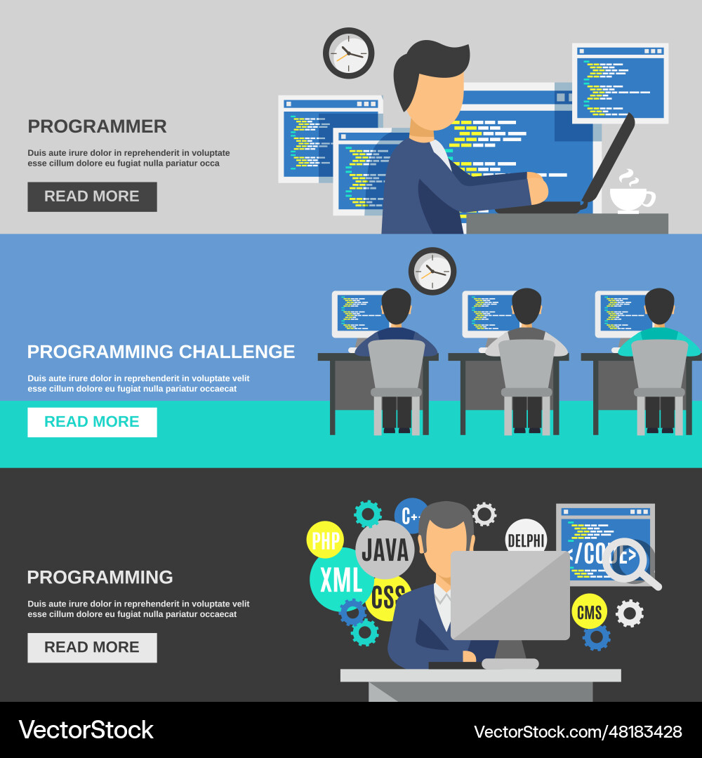 Programmer banner set vector image