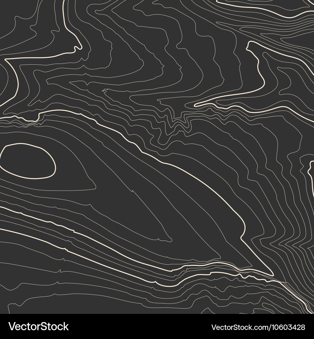 Topographic Map Contours Vector Image