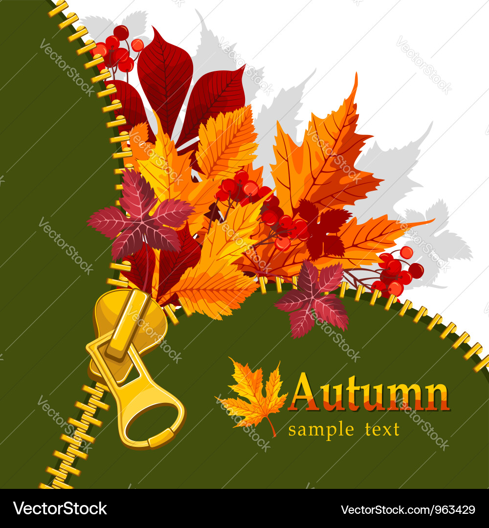 Autumn background vector image
