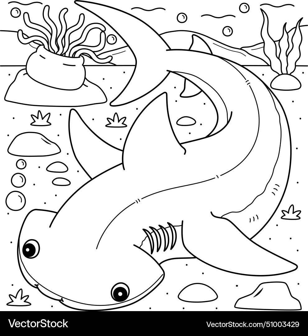 Bonnethead shark coloring page for kids Royalty Free Vector