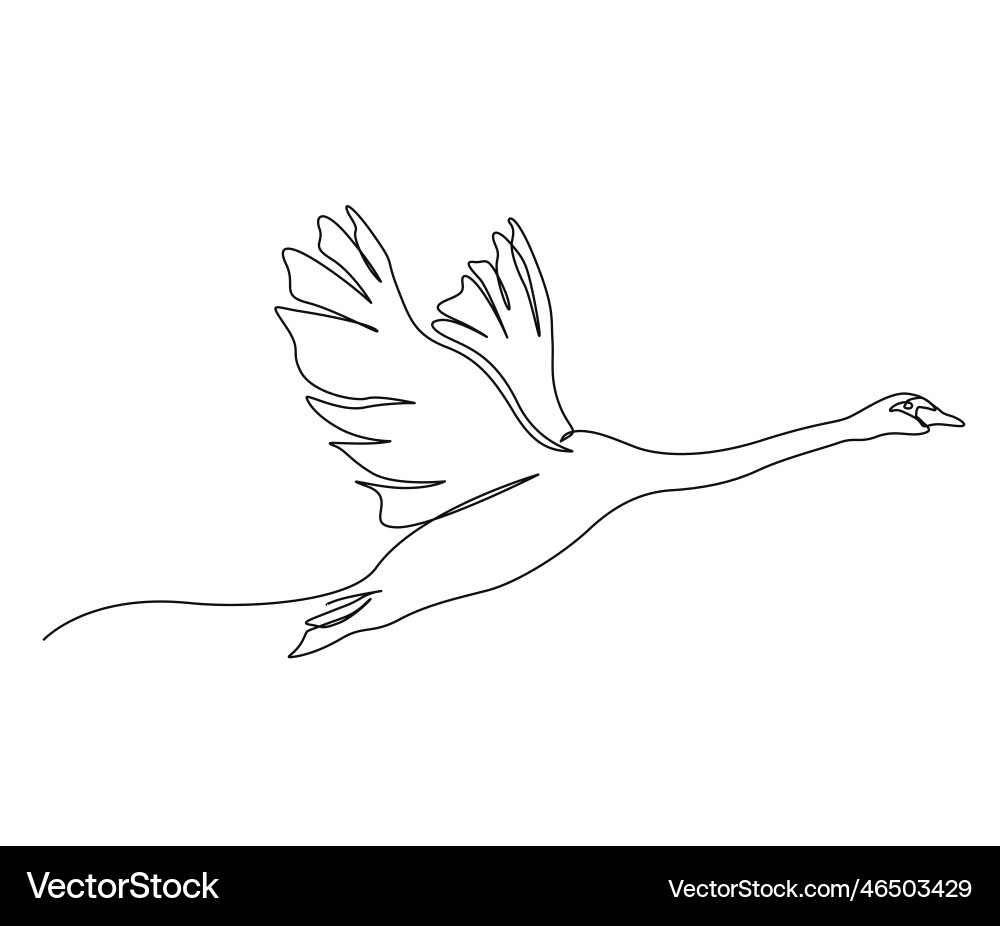 Continuous one line drawing of flying swan simple Continuous one line drawing of flying swan simple Vector Image