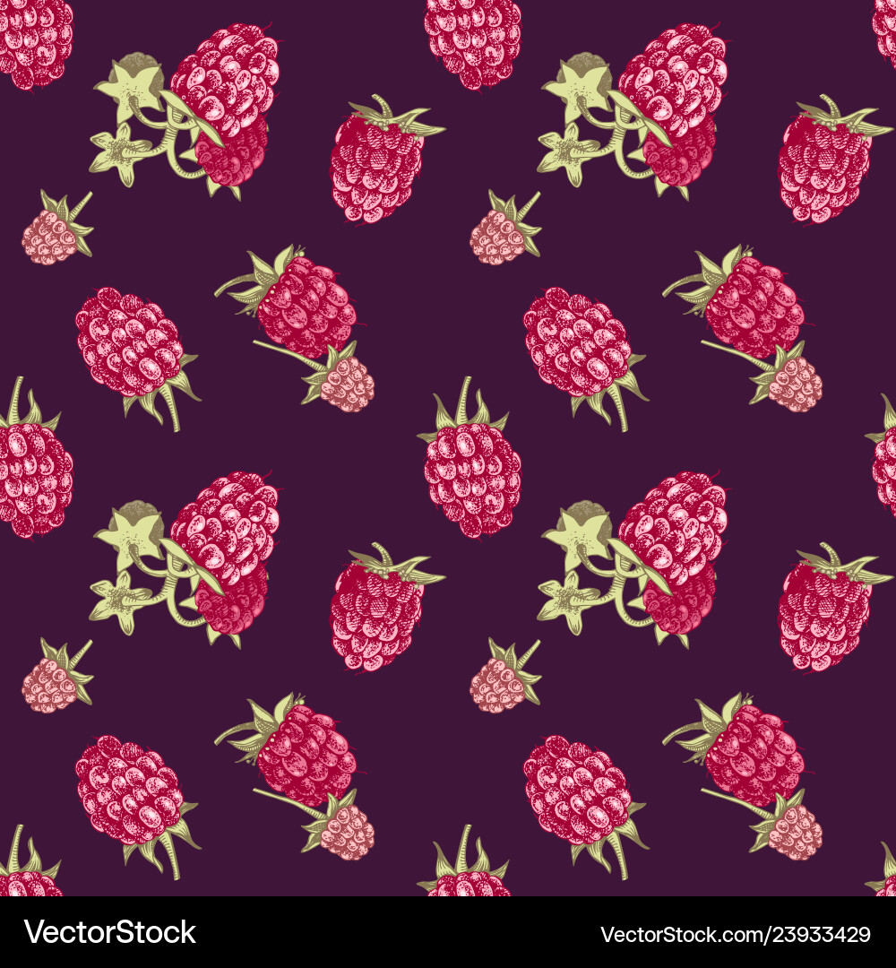 Hand Drawn Raspberry Pattern vector image