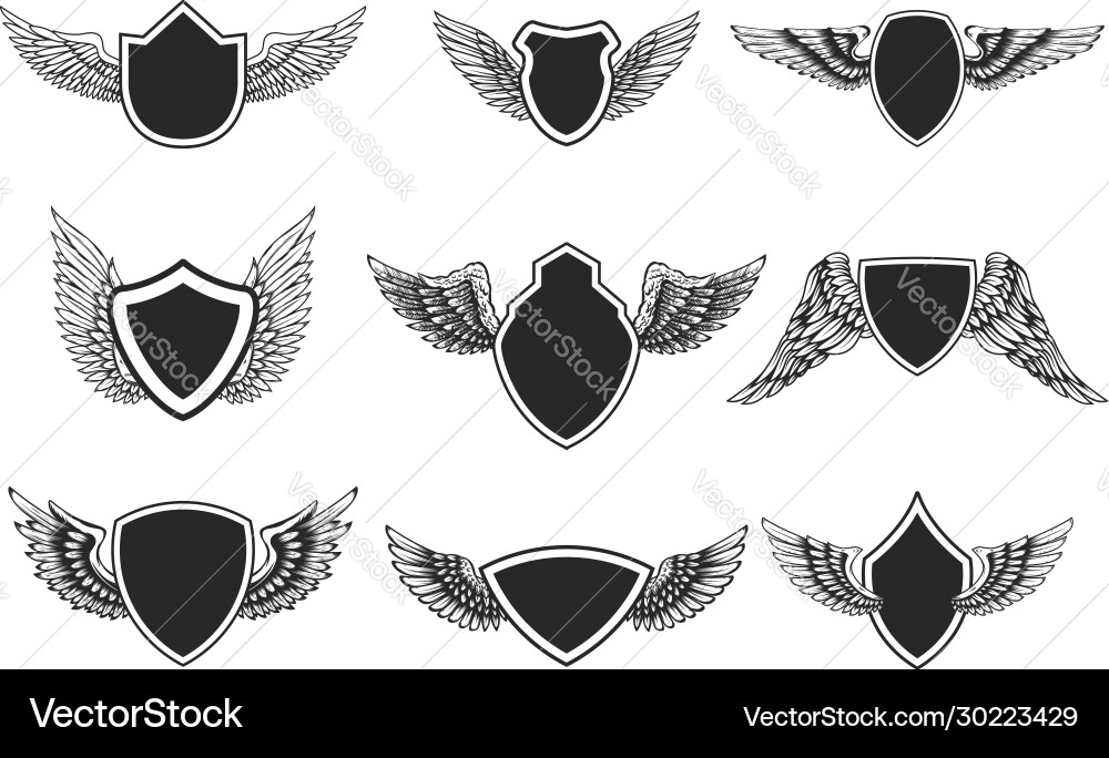 Set emblems with wings design element for logo Set emblems with wings design element for logo vector image