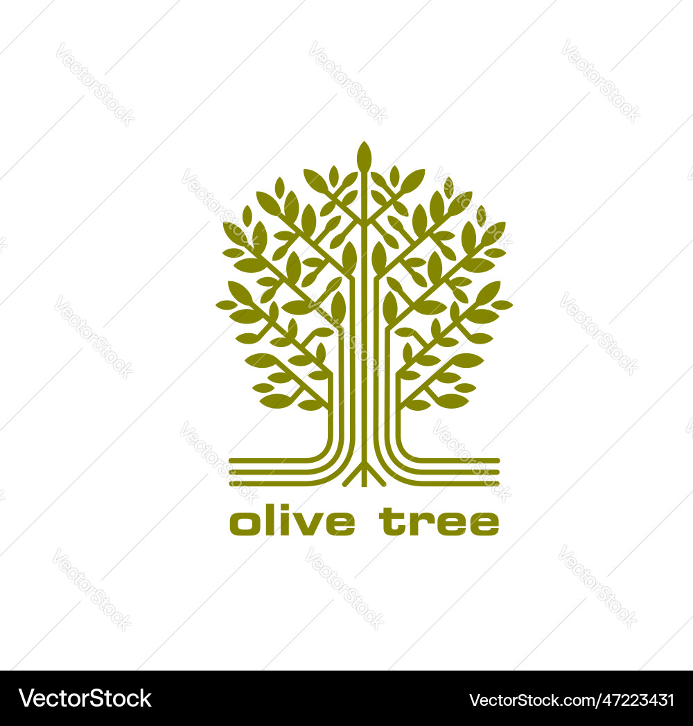 Olive tree symbol for oil leaves Olive tree symbol for oil leaves vector image