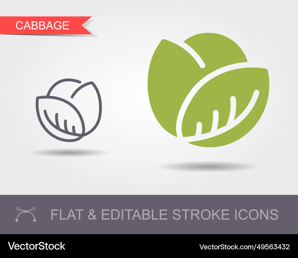 Cabbage line icon with editable stroke Cabbage line icon with editable stroke vector image