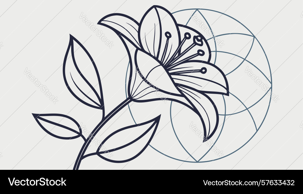Modern lily with abstract geometric patterns vector image