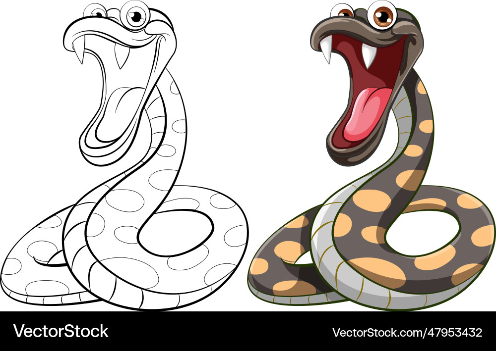 Polka dot python snake vector image