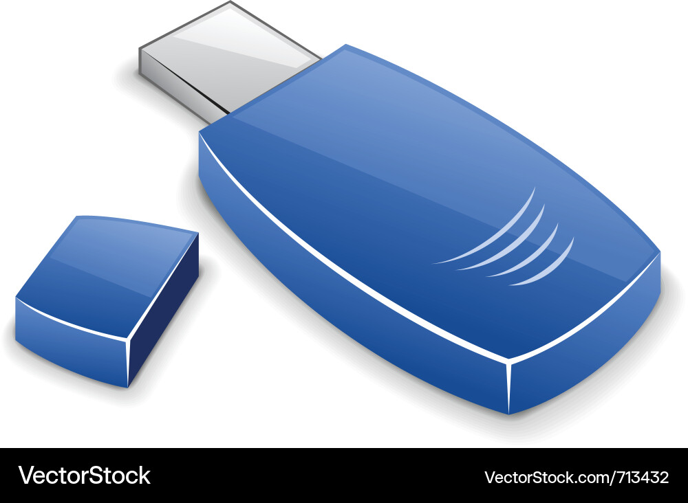 Usb memory card Vector Image