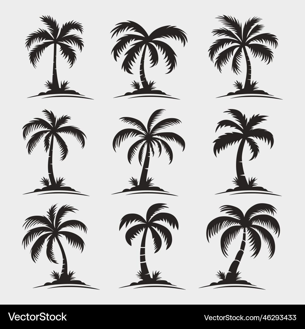 Palm trees tree icon set isolated Palm trees tree icon set isolated Vector Image