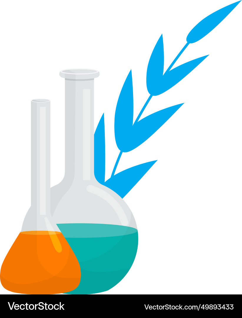 Two laboratory flasks with colorful liquids Vector Image