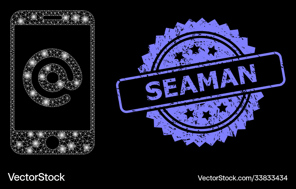 Scratched seaman seal and bright web net Scratched seaman seal and bright web net vector image