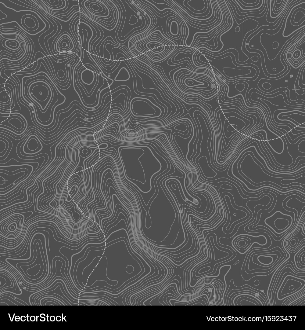 Seamless pattern topographic map background vector image