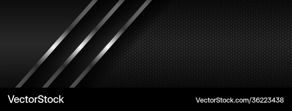 Abstract header with silver lines vector image