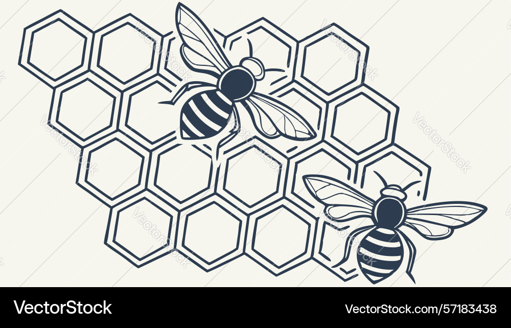 Bees on honeycomb geometric pattern design Vector Image