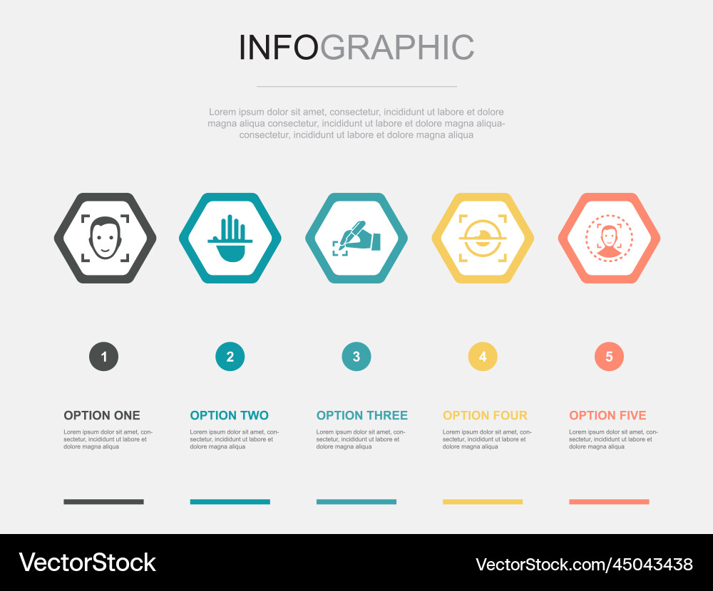 Biometrics authentication icons infographic design vector image