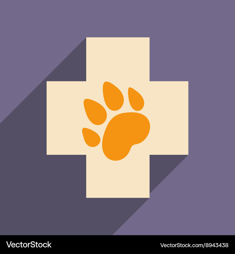 Flat with shadow icon and mobile application vector image