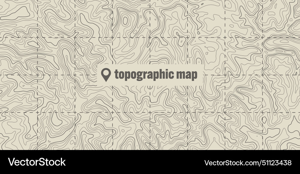 Topographic map with contour lines geographic vector image