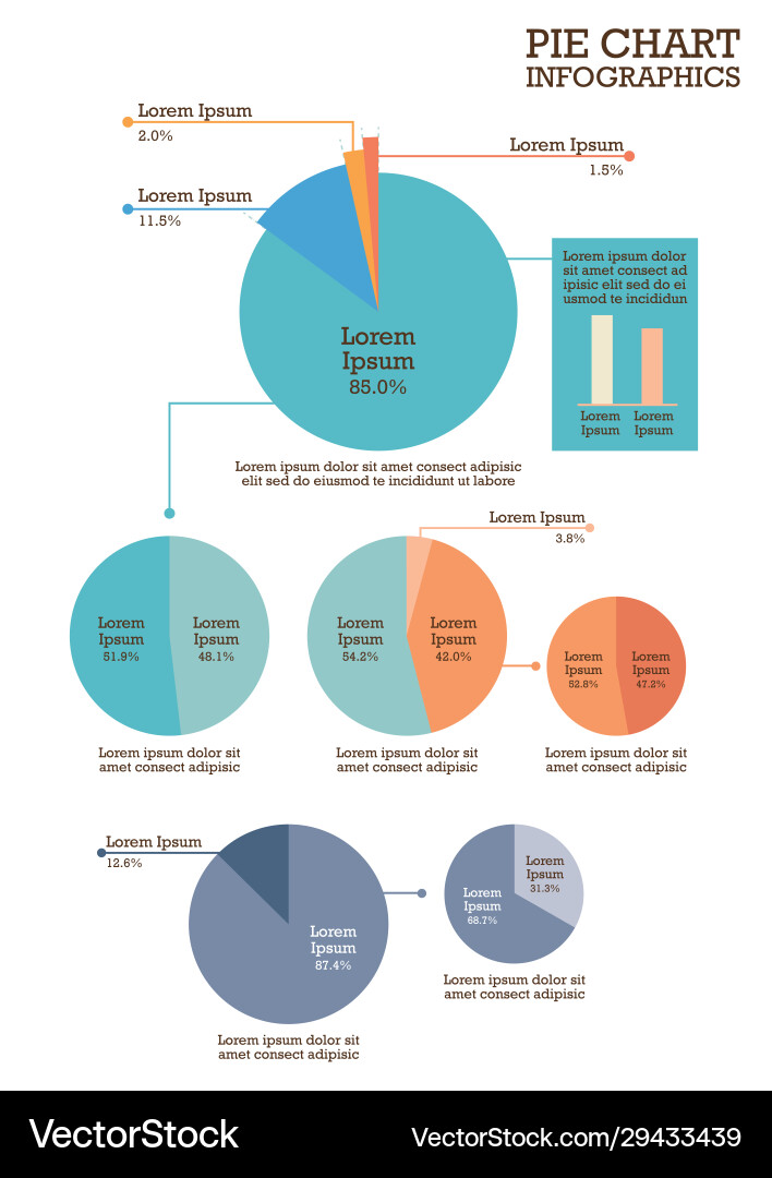 Pie Chart Infographic Set Vector Image