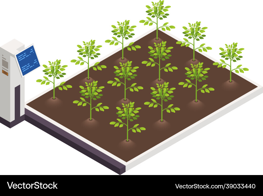 Plants growing control composition Plants growing control composition vector image