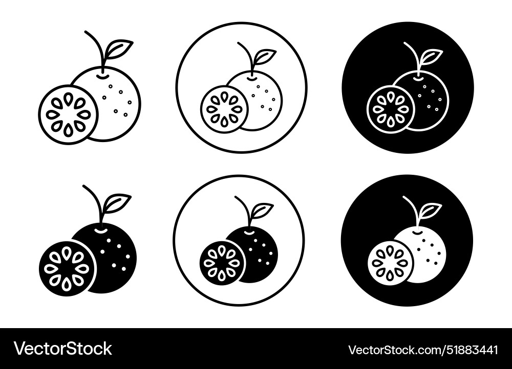 Grapefruit icon Royalty Free Vector Image - VectorStock