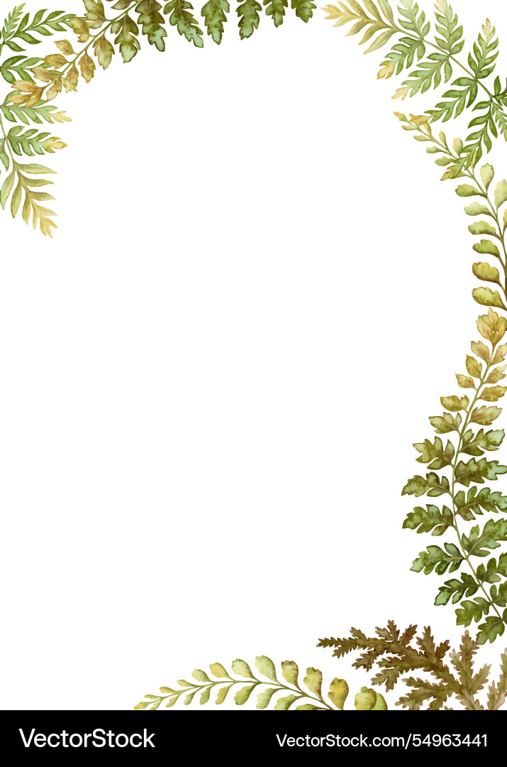 Rectangular card frame template with fern leaf Vector Image