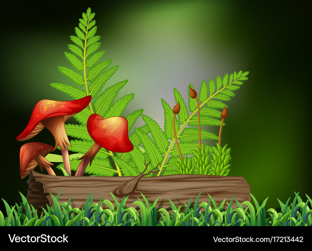 Background scene with mushroom and log Vector Image
