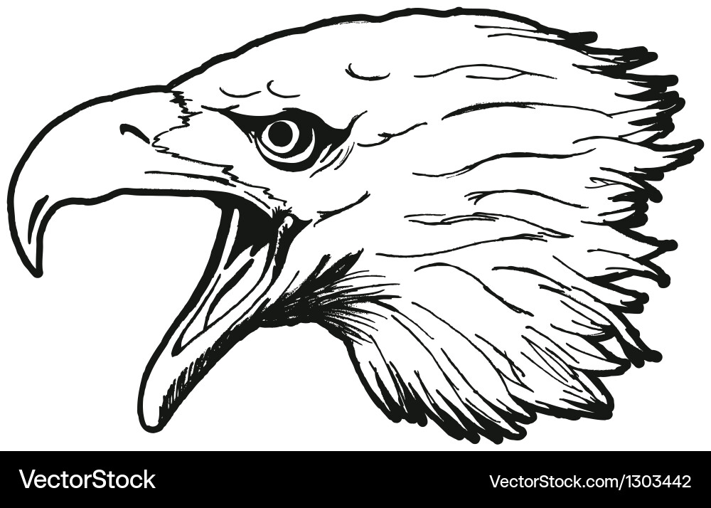 Eagle Head Portrait Vector Image