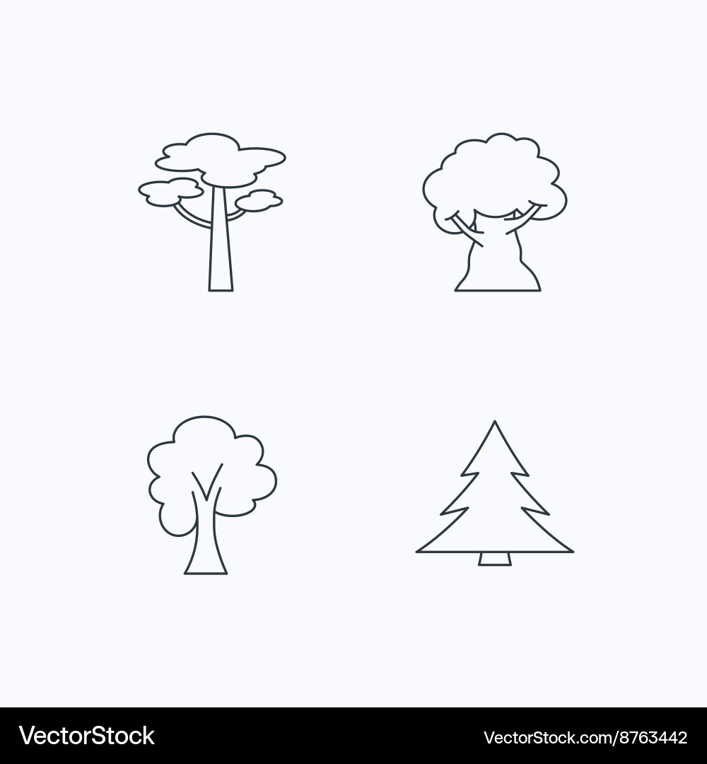 Pine tree maple and oak-tree icons Vector Image