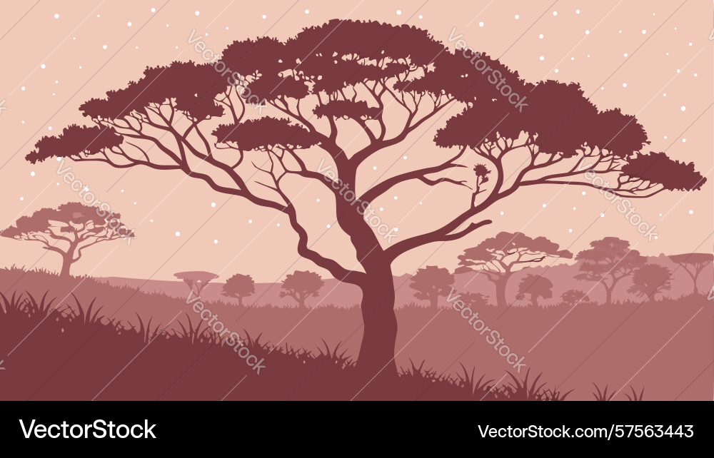 Artistic bonsai tree with geometric patterns vector image
