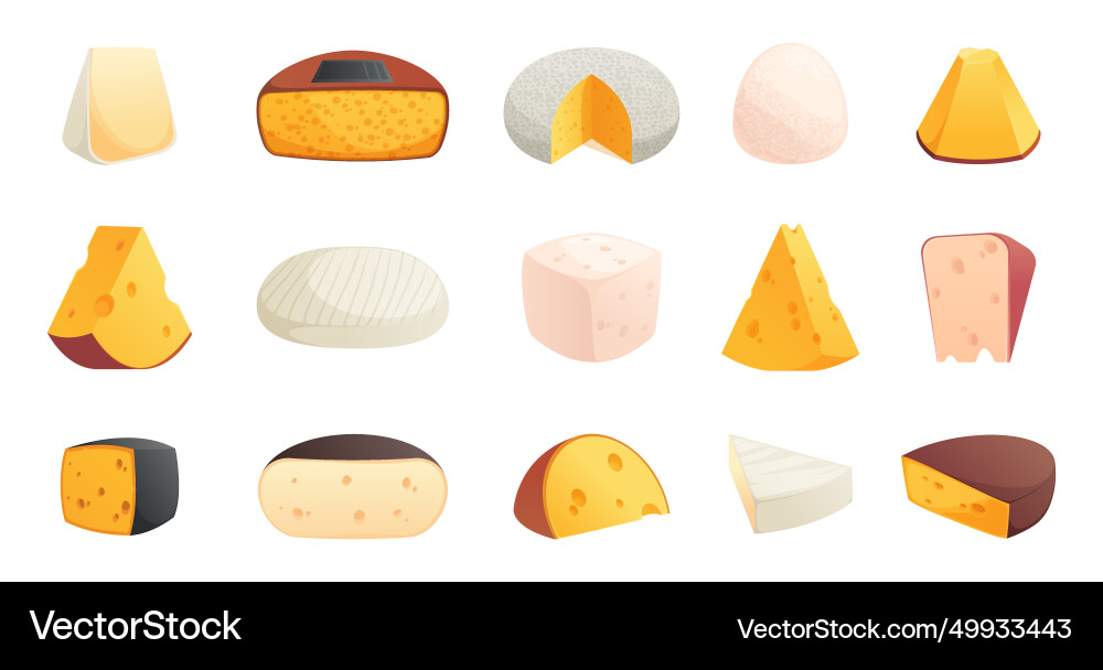 Cartoon different cheese slices and blocks vector image