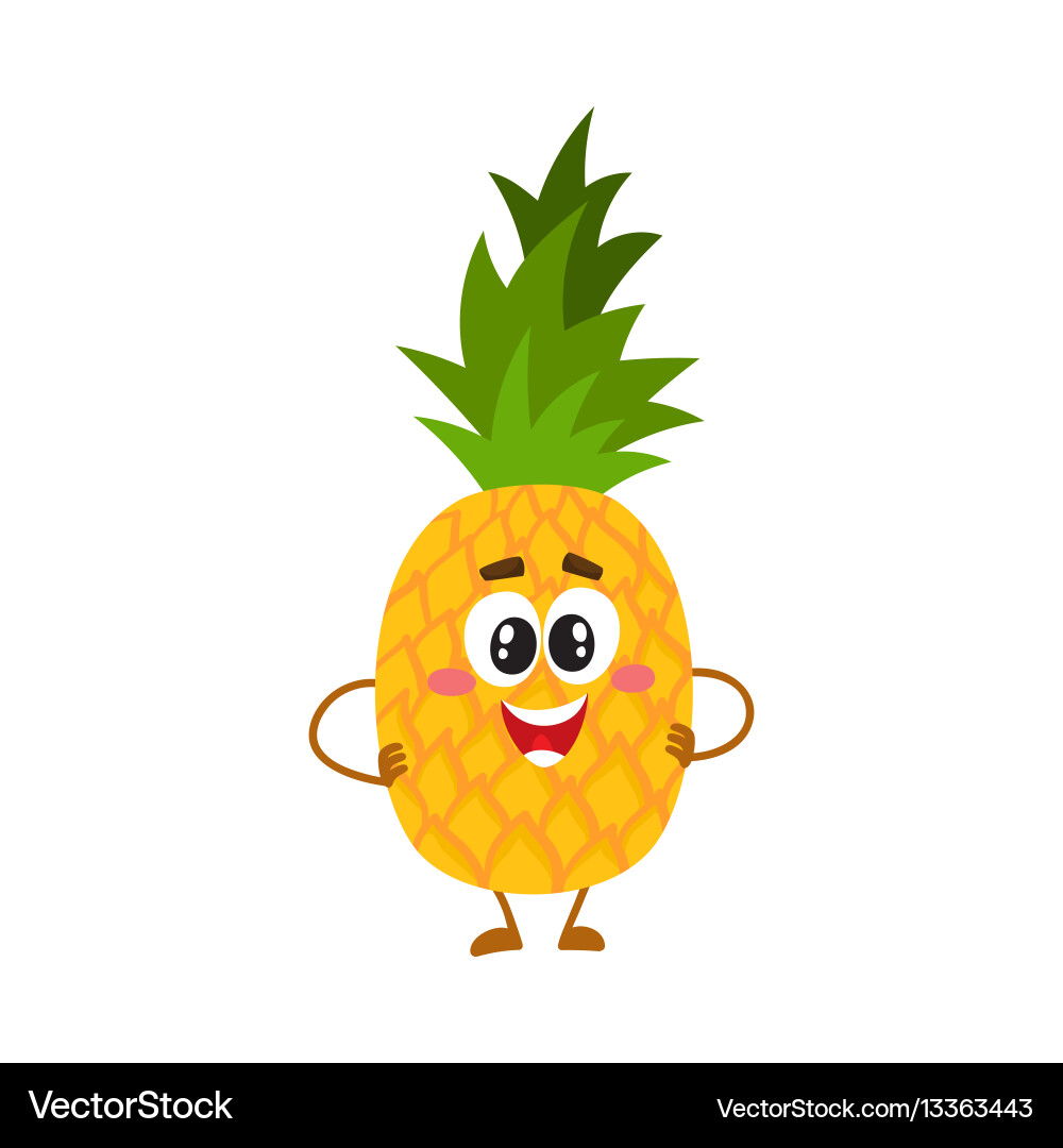 Pineapple character with smiling face standing vector image