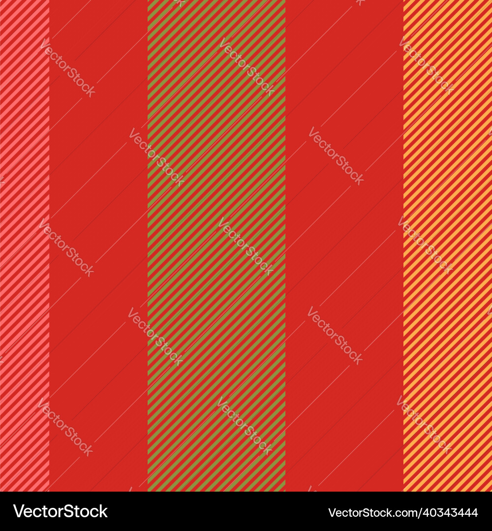 Colorful Stripe Pattern Background vector image