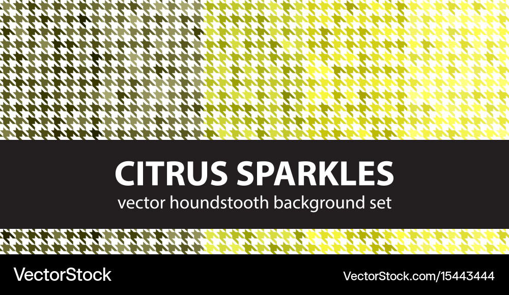 Houndstooth pattern set citrus sparkles seamless vector image
